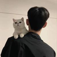 Yan3766头像