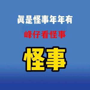 峰仔看怪事头像