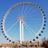 星辰薄荷480头像