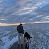 泽先生爱任女士头像