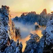 星塵子的个人资料头像