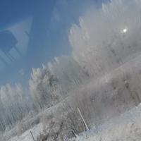 流云飞渡1999头像