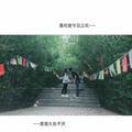 ai太阳ya头像