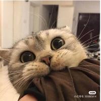 你的小吴老师头像