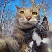 Alone263的个人资料头像