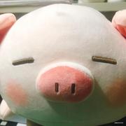 我爱搬砖的个人资料头像