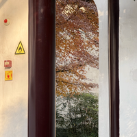 迪迪和苏苏头像