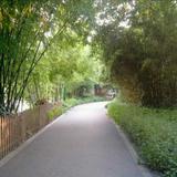 用户3199822687171头像