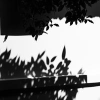 平平無奇小天才头像