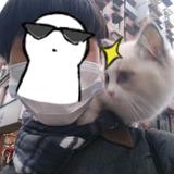 爱宠头像