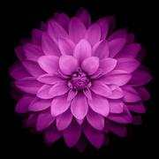 耐心等候的个人资料头像