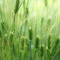 珍惜人生路上的头像