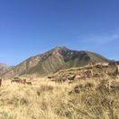 京漂9527的个人资料头像