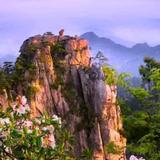闯天涯头像