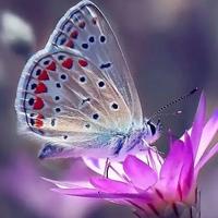 思而不语念且不忘头像