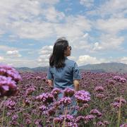 就一把蒲扇的个人资料头像