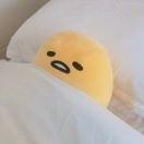 小鑫lay1的个人资料头像