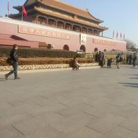 平凡的世界24156头像