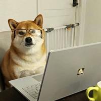 有趣的远山yZl头像