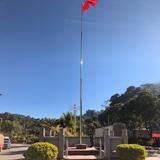 zt头像