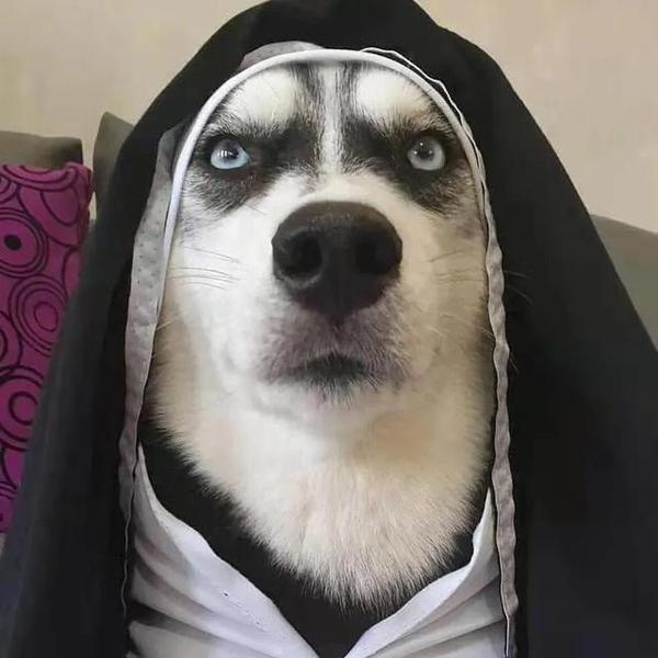 最后的自由9527头像