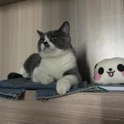 用户3768744481782的个人资料头像