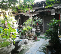 外向花猫A头像