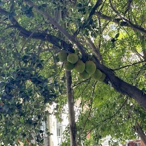 星云星海星河头像