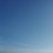 mango的个人资料头像