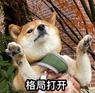 我是大漂亮的个人资料头像