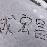 Enzo昌头像