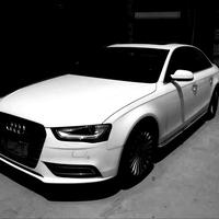 信仰改不了信念751头像