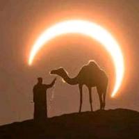 KD不会跳投.头像