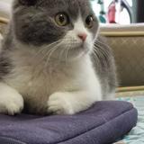 用户3597201248883981头像