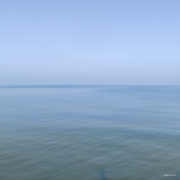 大绵羊_的个人资料头像