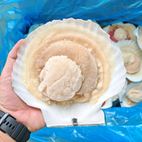 棒棒哒阳光吖头像