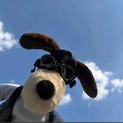 sngkr的个人资料头像