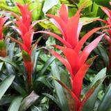 涛声依旧7726563004786头像