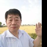 风吹草动1234头像