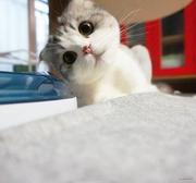 星辰与大海的个人资料头像