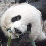 迷失的云284头像