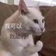 飘扬李头像