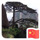 我就是我94668头像