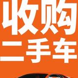 杨艳军10头像
