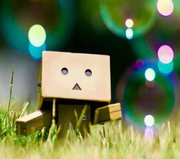 不讲武德_张的个人资料头像