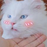 离开以后秋意浓头像