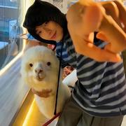 甜美的江的个人资料头像