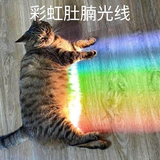看到踢我背单词头像