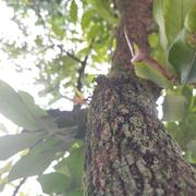 用户9530610832082的个人资料头像