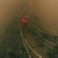 黎明37618999头像